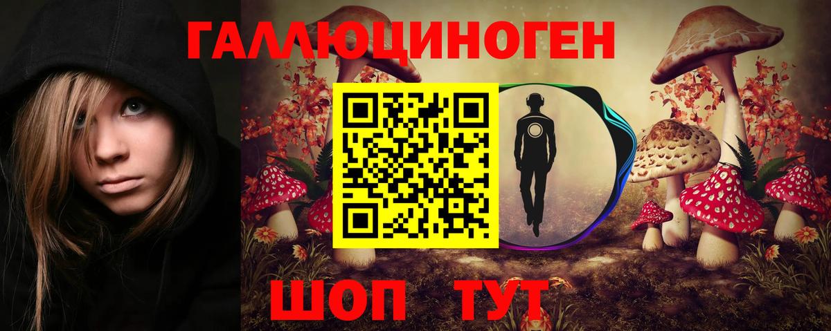 Галлюциногенные грибы Щёлково