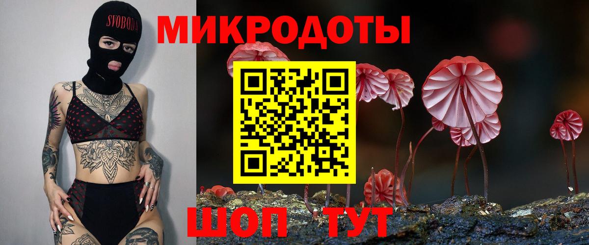 Галлюциногенные грибы Psilocybine cubensis  Вход с VPN  Щёлково 